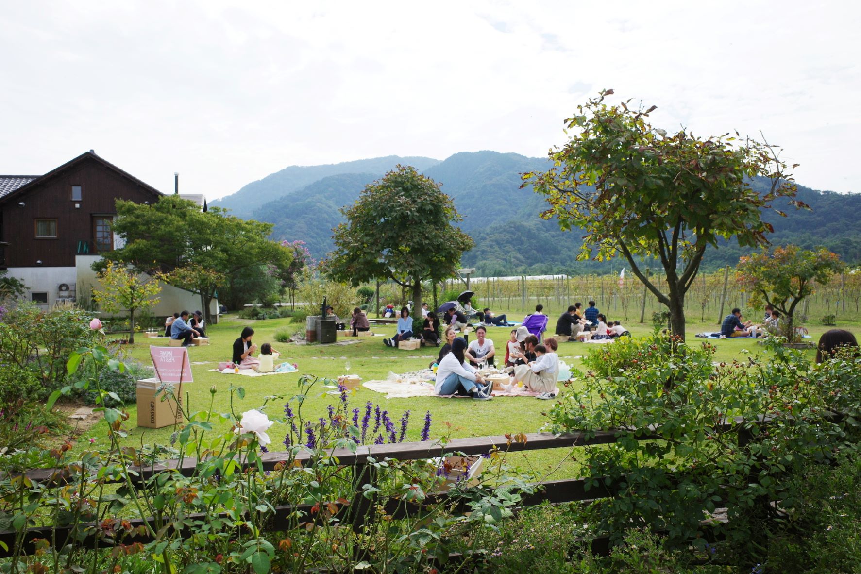 昨年のワインフェスタ、芝生の庭