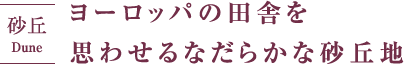 ヨーロッパの田舎を思わせるなだらかな砂丘地