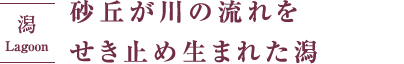 砂丘が川の流れをせき止め生まれた潟