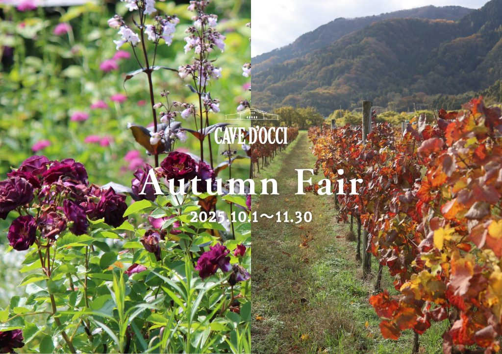 イベント】秋のガーデンとグルメを楽しむ「オータムフェア」開催